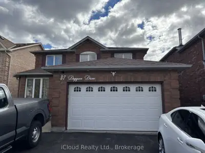 37 Duggan Drive Bsmt, Brampton, On L6y 4j2