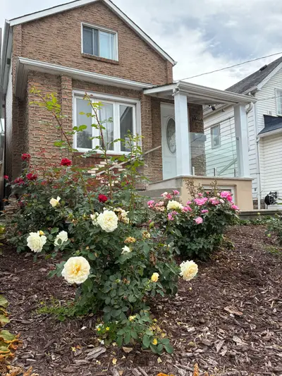 173 Chambers Avenue Lower, Toronto, On M6n 3m5