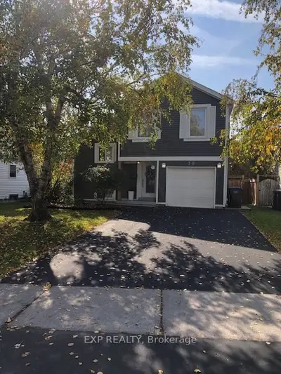 30 Somerset Drive, Brampton, On L6z 1c7