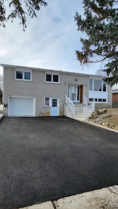 219 Mcmurchy Avenue Main, Brampton, On L6y 1z2