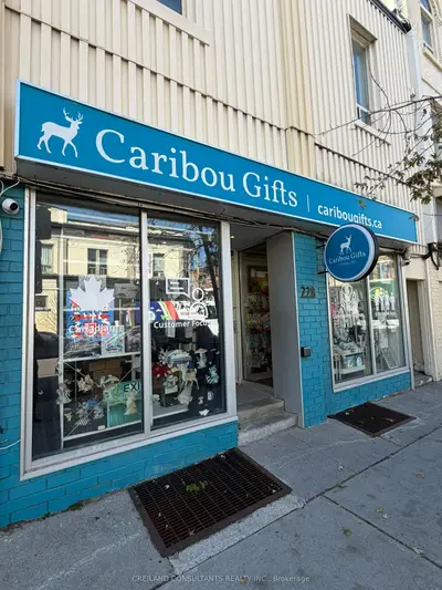 228 Mavety Street, Toronto, On M6p 2m2