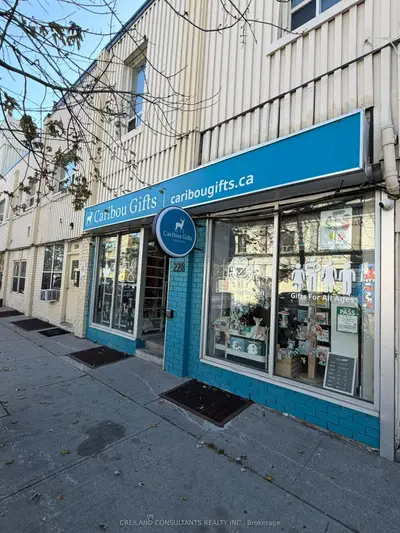 228 Mavety Street, Toronto, On M6p 2m2