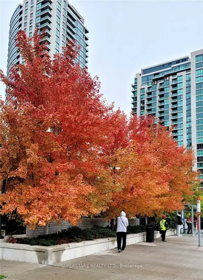 215 Sherway Gardens Road 1109, Toronto W08, ON M9C 0A4