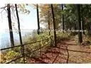 346-362 Lakeshore Road W Lot 11, Oakville, ON L6K 1G1