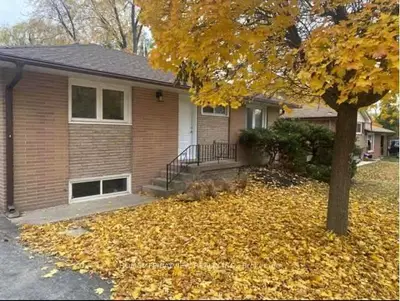 39 Joymar Drive Lower, Mississauga, ON L5M 1G1