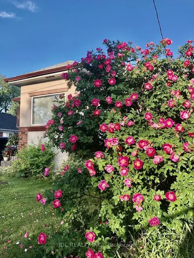 138 Wesley Street, Toronto W07, On M8y 2x1