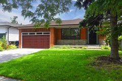 124 Allanhurst Drive Basemen, Toronto W08, On M9a 4k6