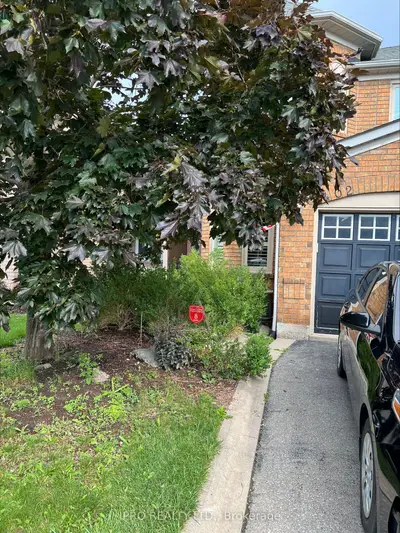 3402 Spirea Terrace Bsmt, Mississauga, On L5n 7n3