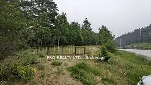 Vacant Land in Bancroft