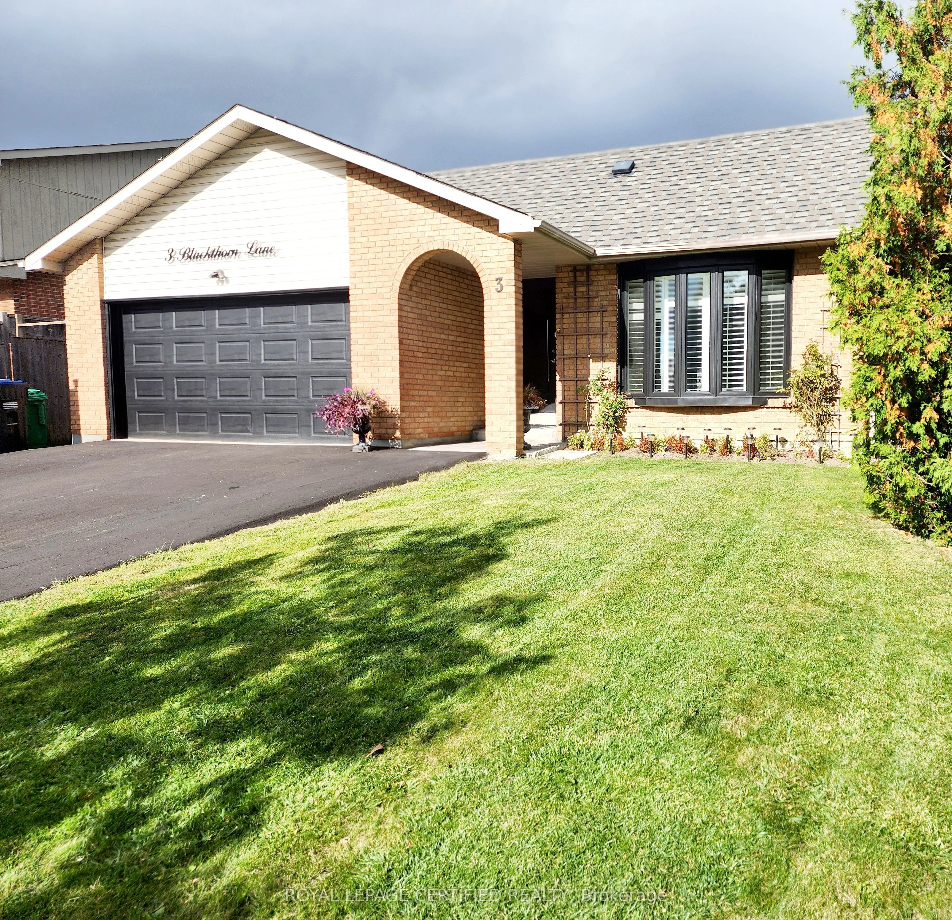 Detached in Brampton