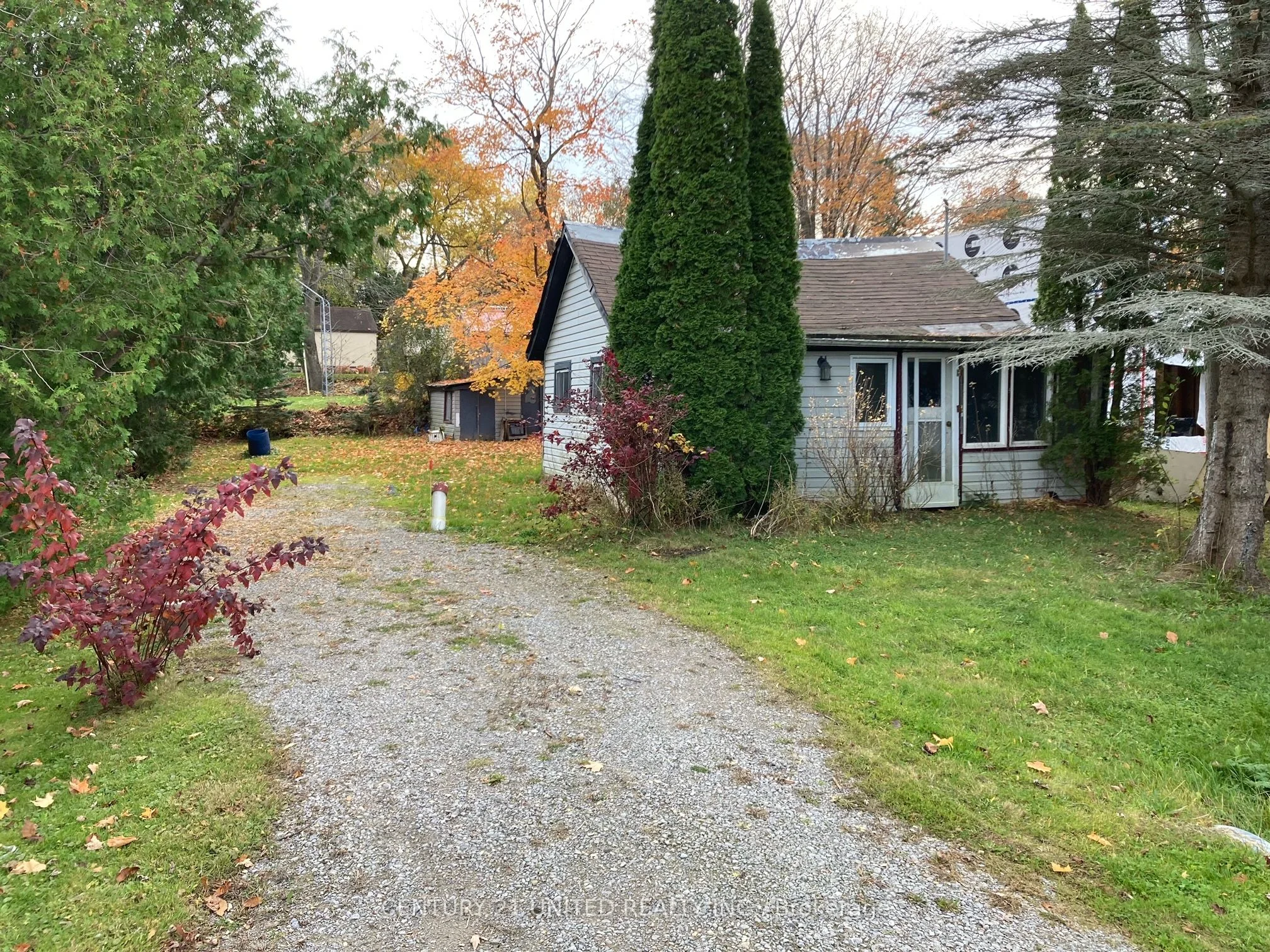 12 Elder Street, Kawartha Lakes, On K0m 1l0