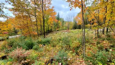 00 Wiltom Drive, Madawaska Valley, On K0j 1b0