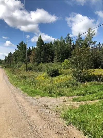 98 Swamp Road, Admaston/bromley, On K7v 3z9