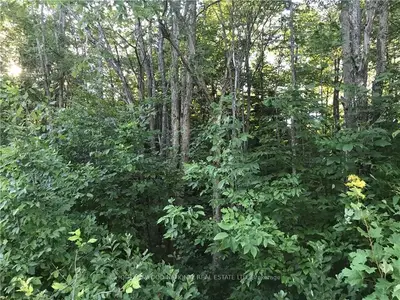 0 Centerview Road, Hastings Highlands, On K0j 1l0