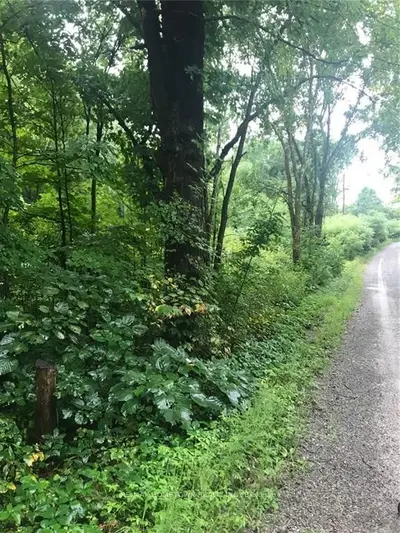 0 White Acres Road, Front Of Yonge, On K0e 1r0