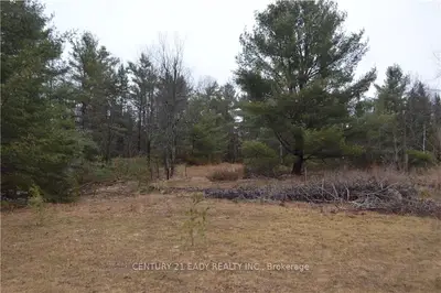 0000 Highway 132, Greater Madawaska, On K0j 1n0