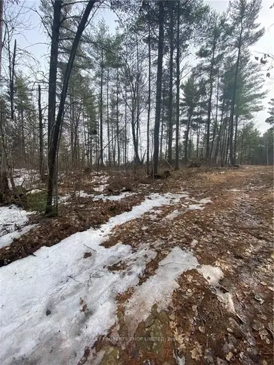 5032 ROUNDLAKE Road, Killaloe, Hagarty and Richards, ON K0J 2A0
