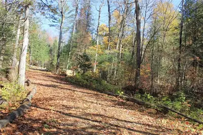 81 DIAMOND LAKE Road, Madawaska Valley, ON K0J 1L0