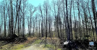 Lot 10, Ph 1 BARRETT CHUTE Road, Greater Madawaska, ON K0J 1H0