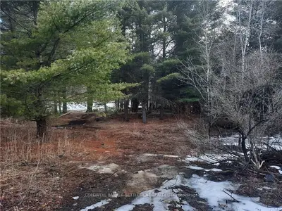 0 DALHOUSIE CONCESSION 3 Road, Lanark Highlands, ON K0G 1K0