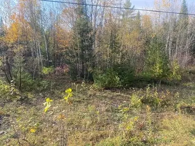 LT 28 RAPID Road, Whitewater Region, ON K0J 2L0
