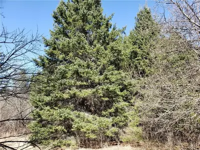 0 THOUSAND ACRE Road, Rideau Lakes, ON K0G 1V0