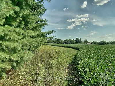 4849 Newtown Road, Carp - Dunrobin - Huntley - Fitzroy And Area, On K0a 1x0