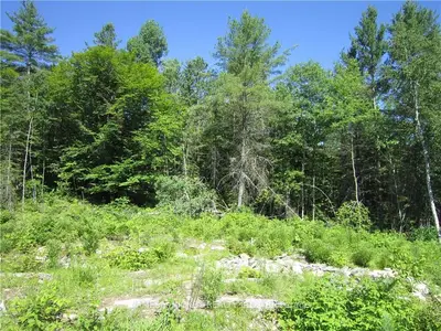 Pt 3 Pt Lt 11 & 12 C 1 Wylie Road, Laurentian Hills, On K0j 1p0