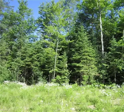 Pt 1 Pt Lt 11 & 12 C 1 Wylie Road, Laurentian Hills, On K0j 1p0