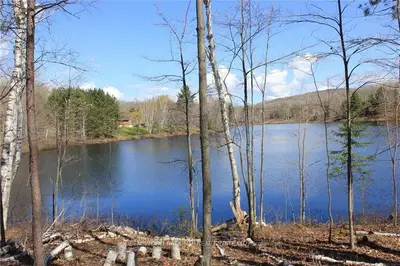 0 Tamarack Road, Madawaska Valley, On K0l 1l0