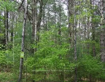 LT 2 FORESTRY Road, Laurentian Hills, ON K0J 1J0