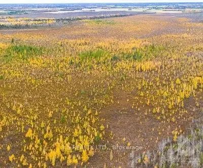 0 CTY RD 15 Road, Merrickville-Wolford, ON K0G 1N0