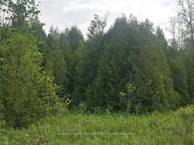 CON 6 PT LOT 38 COUNTRY RD 34, North Glengarry, ON K0C 1Z0