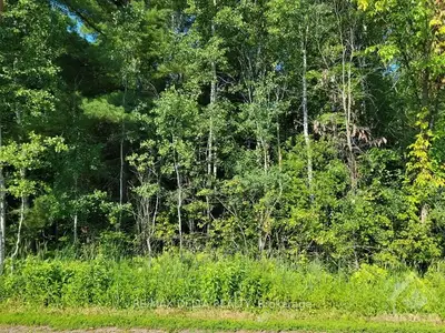 PT LT 21 CONCESSION 4 Road, Clarence-Rockland, ON K0A 1E0