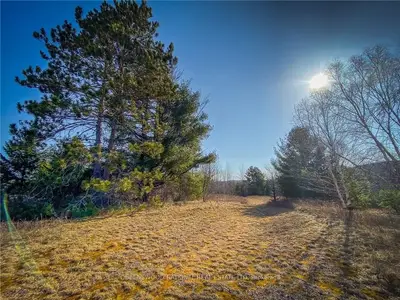 0 IGNATIUS Drive, Madawaska Valley, ON K0J 1B0