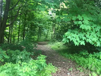 3584 BESNER Road, The Nation, ON K0B 1G0