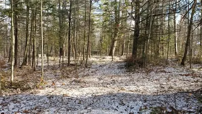 PT 1 WALFORD Road, Laurentian Valley, ON K8A 6W5