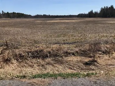 CONCESSION 4 Road, Alfred and Plantagenet, ON K0B 1A0