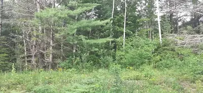Lot 36 CEMENT BRIDGE Road, North Algona Wilberforce, ON K0J 1X0