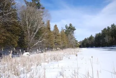 00 Scotch Line Road 4,5,6, Tay Valley, On K7h 3c5