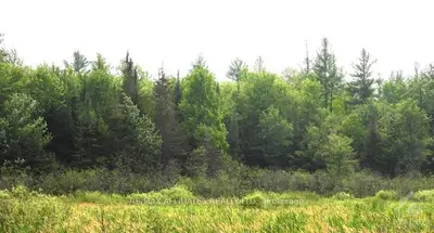 00 BELLAMY Road, Mississippi Mills, ON K0A 2X0