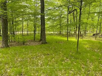 0 Otty Lake Side Road, Tay Valley, ON K7H 3C5