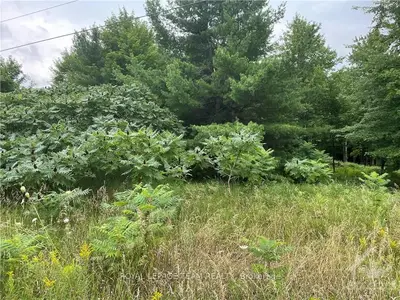 31 PINE HILL Road, Greater Madawaska, ON K0J 1H0