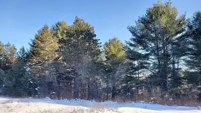 0 Schwartz Road, Laurentian Valley, On K8a 6w8