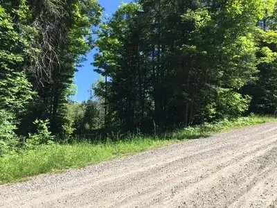 0 Palmerston Plan 1868 Lot 1 Sunday Lake Drive, Frontenac, On K0h 2j0