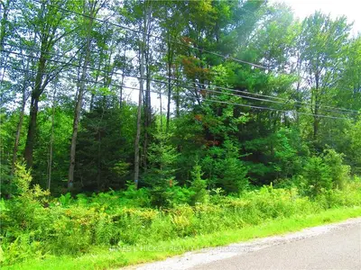 0 WYLIE Road, Laurentian Hills, ON K0J 1P0