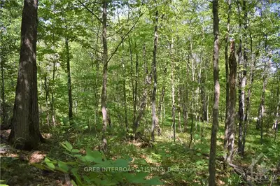 639 POPLAR Way, Greater Madawaska, ON K0J 1H0