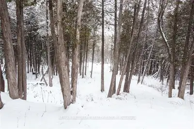 8441 Cooper Hill Road, Greely - Metcalfe - Osgoode - Vernon and Area, ON K0A 2P0