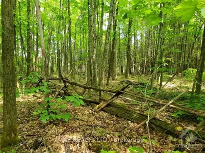0 GARDINER Road, Merrickville-Wolford, ON K0G 1N0