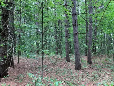 Pt Lot 20-21 CEDARVALE Road, North Stormont, ON K0C 1Y0